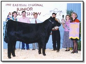 9FB3 Heifer